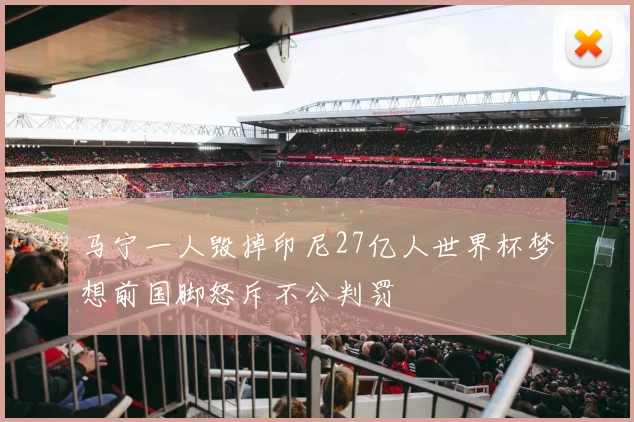 马宁一人毁掉印尼27亿人世界杯梦想前国脚怒斥不公判罚
