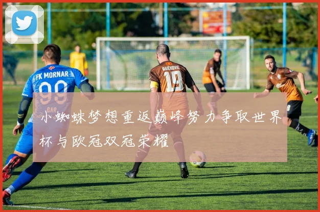 小蜘蛛梦想重返巅峰努力争取世界杯与欧冠双冠荣耀
